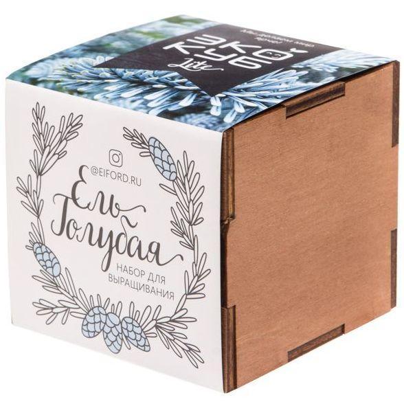 Набор для выращивания «Экокуб Lite» купить в PR Gifts