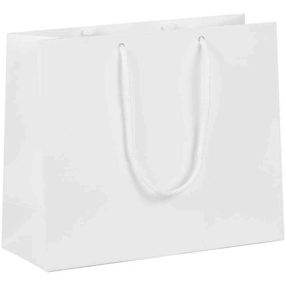 Пакет бумажный с ламинацией Lami Tote S купить в PR Gifts