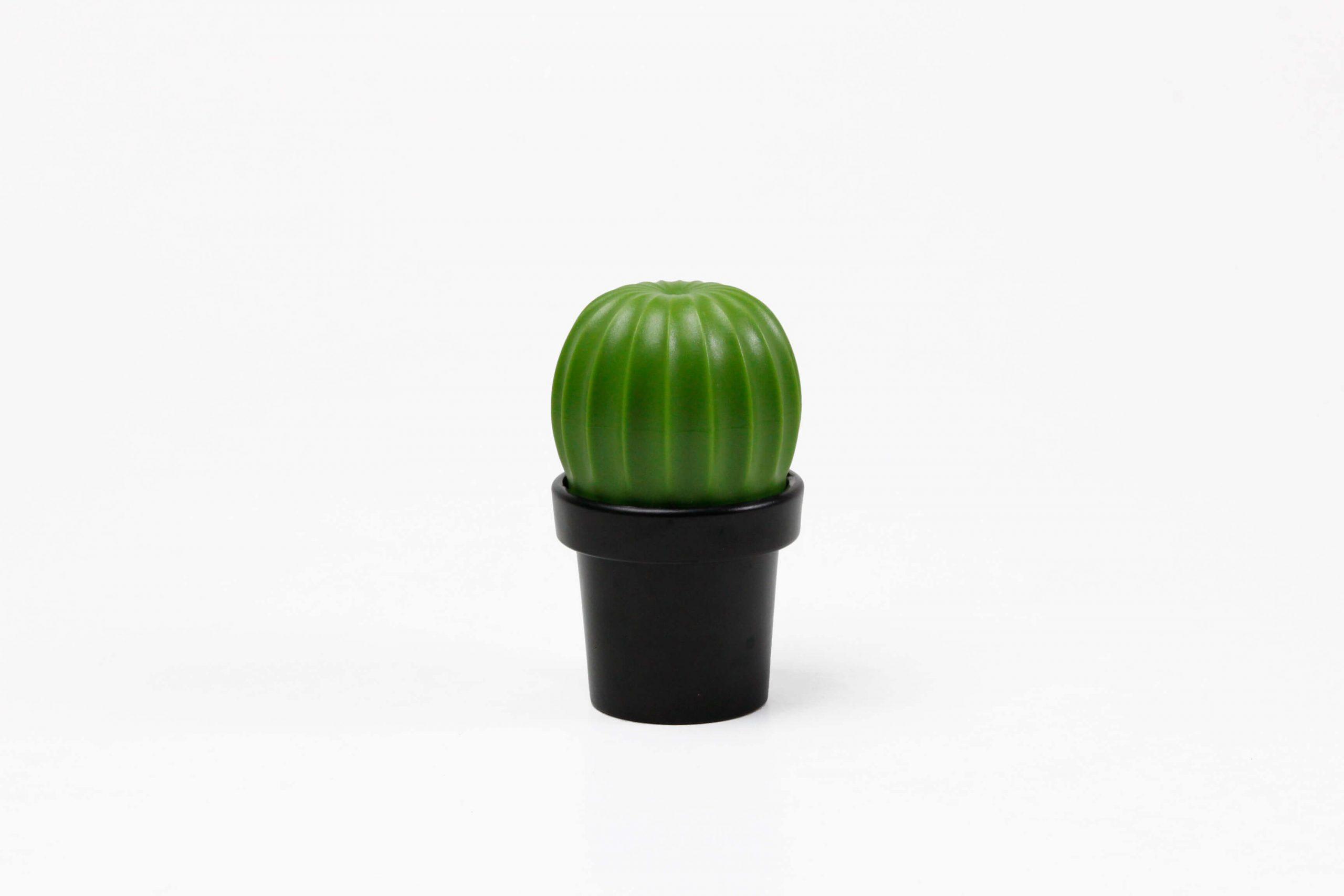 Картинка МЕЛЬНИЦА ДЛЯ СПЕЦИЙ Tasty Cactus купить в PR Gifts