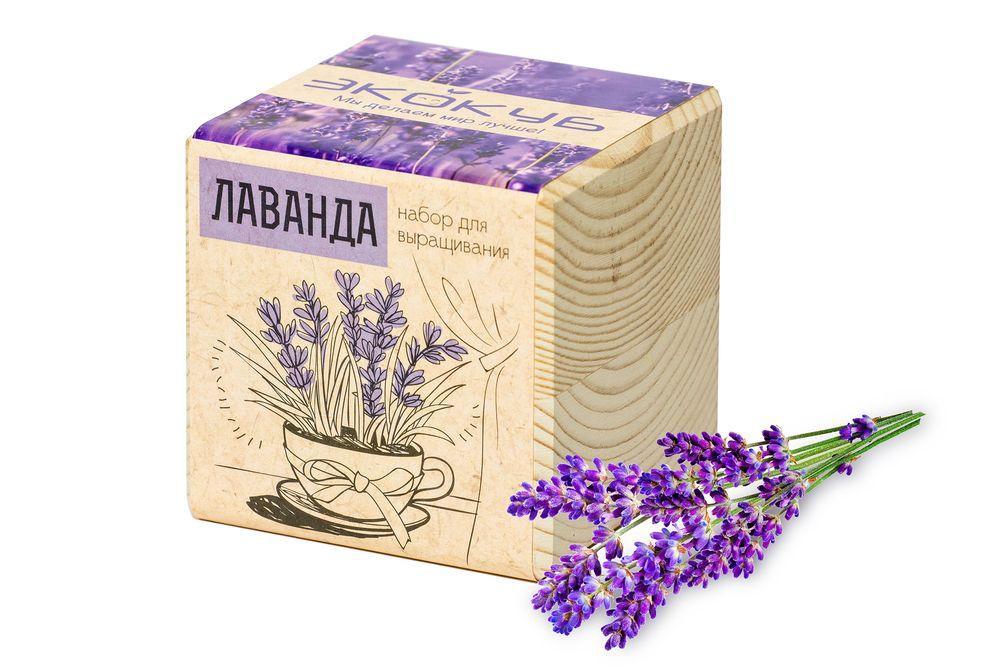 Набор для выращивания «Экокуб» купить в PR Gifts